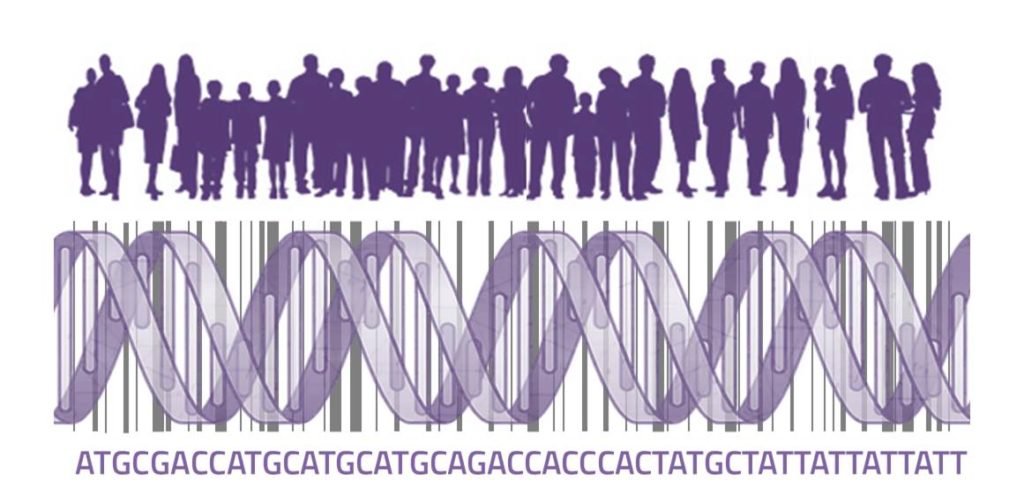 Quantifizierung der genetischen Vielfalt